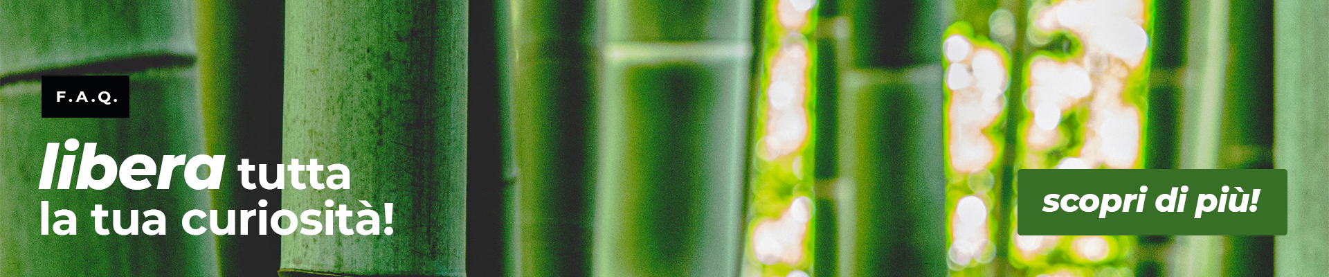 G come Gatto - domande miciose